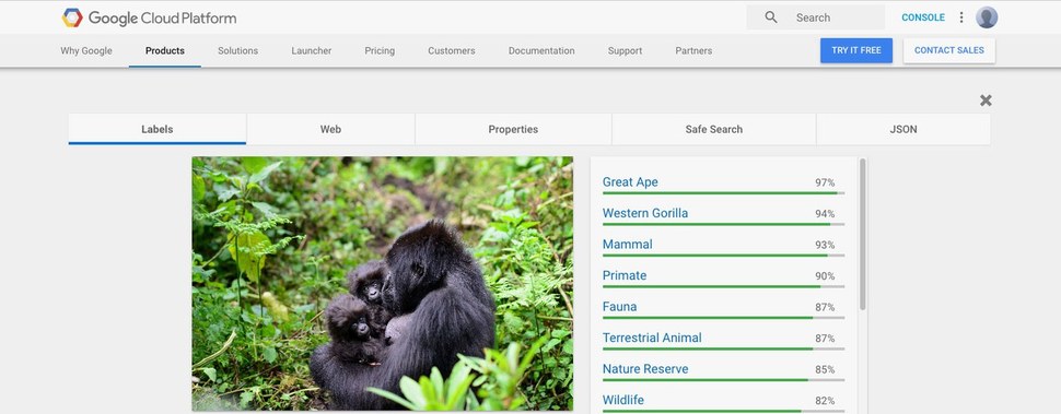 구글의 또다른 사진 분류 서비스인 ‘클라우드 비전’에서는 ‘고릴라’ 태그가 정상적으로 작동하고 있음이  기사를 통해 확인됐다.  출처: 와이어드.