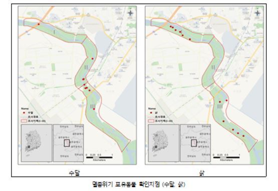 광주시 광산구 황룡강 장록습지에서 국립습지센터가 멸종위기 포유동물의 서식을 확인한 지점.