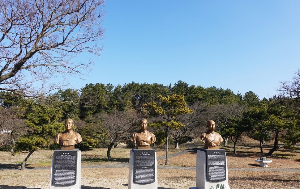 제주시 구좌읍 하도리 연두망동산에 세워진 ‘해녀항쟁’의 주역 부춘화·김옥련·부덕량 3인의 독립운동가 흉상 뒤편에 소나무숲이 1949년 1월 오수송씨의 부모와 주민들이 처형된 장소다. 당시에는 소나무가 없었다.