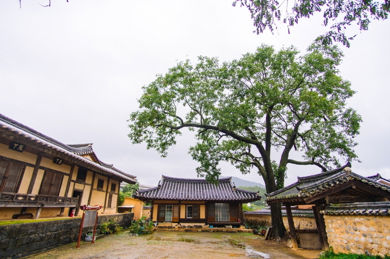 1919년 유림 대표들이 모여 파리장서 독립운동을 모의했던 경북 성주군 초전면 고산리 백세각. 성주군 제공’