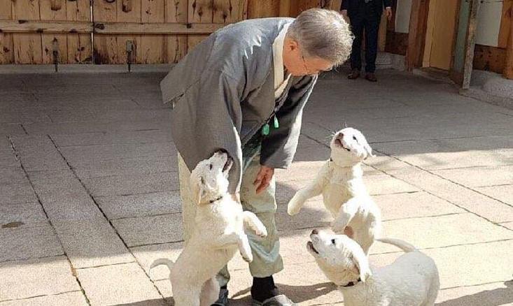 문 대통령 “공장식 축산, 바뀌어야”