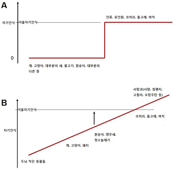 이번 연구를 계기로 동물의 자기 인지능력을 평가하는 거울 테스트의 한계가 지적된다. A는 기존 거울 테스트의 시각, B는 프란스 드 발 교수가 제안하는 점진적 관점. 프란스 드 발 (2019) ‘플로스 바이올로지’ 제공.