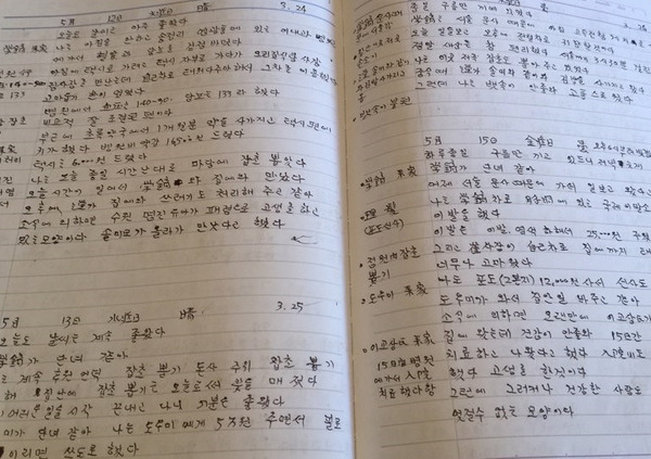 고 김봉호(1914~2018)씨는 1952년 10월24일부터 2018년 10월23일까지 66년 동안 하루도 빼지 않고 일기를 썼다. 정대하 기자