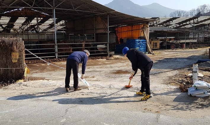 충북 구제역 발생 16일 만에 이동제한 해제