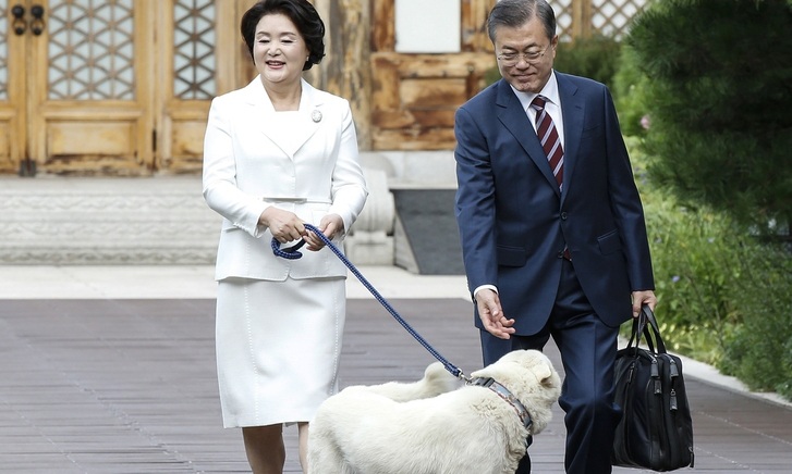 ‘퍼스트 도그’ 이후…개들의 삶은 나아졌을까