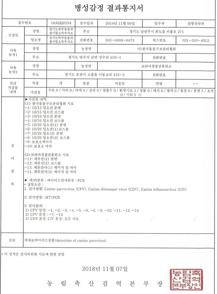 경기도에서 농림축산검역본부에 의뢰해 실시한 한국동물구조관리협회 파보 바이러스 검사 결과. 시료 10점 중 9점(90%)에서 파보 바이러스가 검출됐다. 경기도 제공