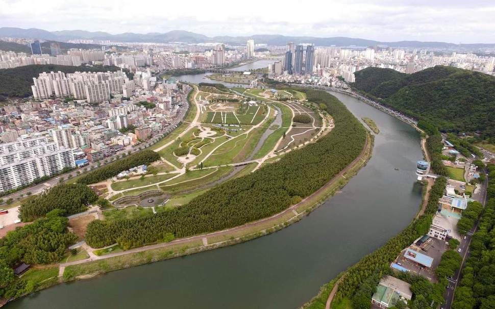 태화강 대공원 일대 십리대숲 전경 울산시 제공
