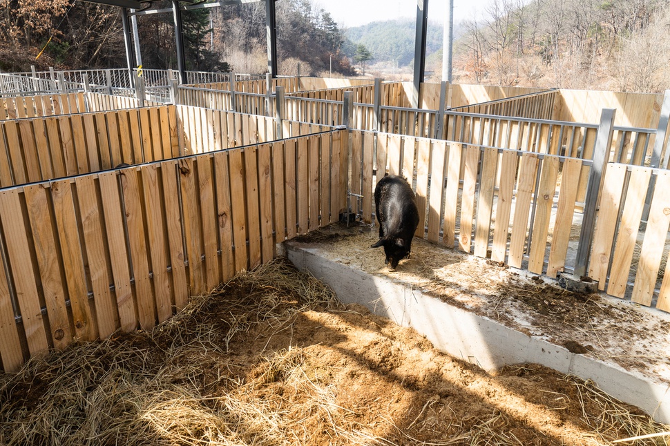 위에서 내려다 본 출산·산후조리실. 돈과 힘이 많이 들었지만 뿌듯하다.