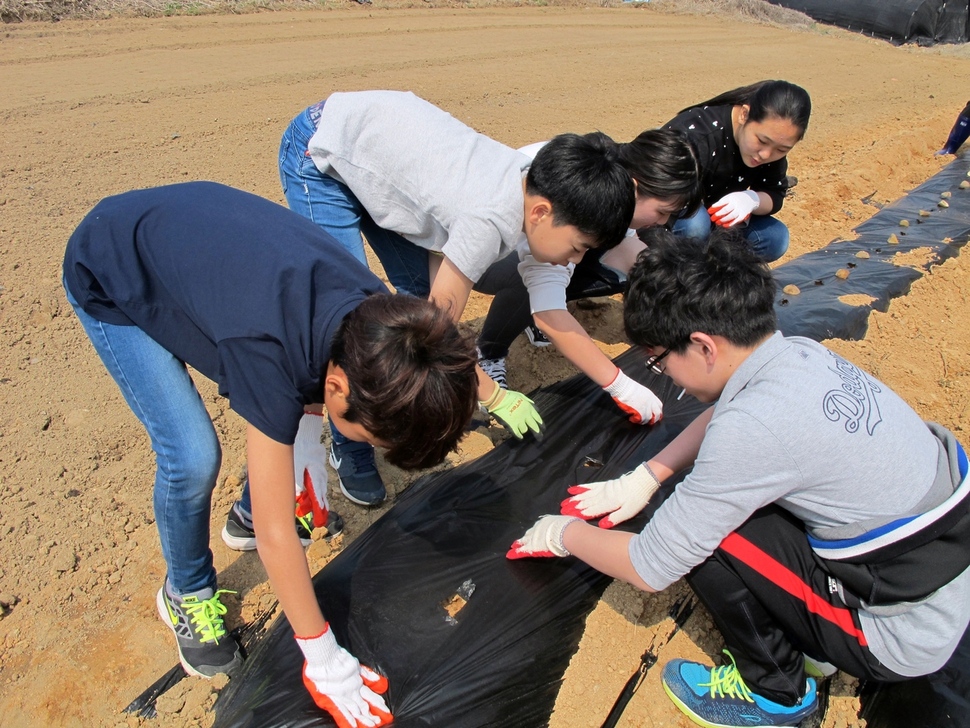 충남교육청이 학교 텃밭 정원을 대표 생태환경교육 프로그램으로 육성하는 가운데 지난해 3월 부여 백강초 학생들이 학교 텃밭에서 감자를 심고 있다. 충남교육청 제공