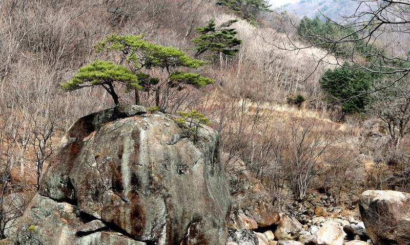 [ESC] ‘지리산 공기’ 캔에 담는 마을을 찾아서