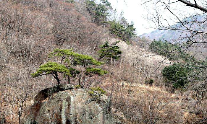 [ESC] 홍콩 공기 캔과 한국의 공기 캔의 차이 