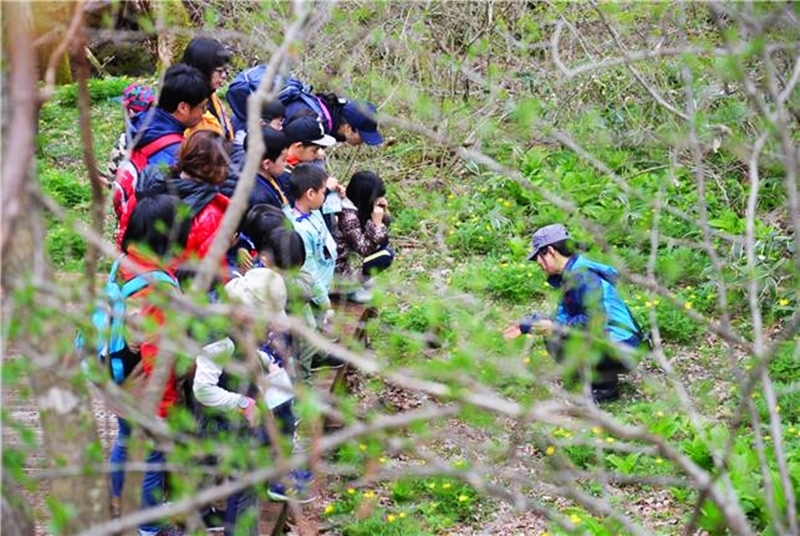 한라생태 숲 체험 프로그램에 참가한 학생들이 숲 해설가의 설명을 듣고 있다. 제주도 제공