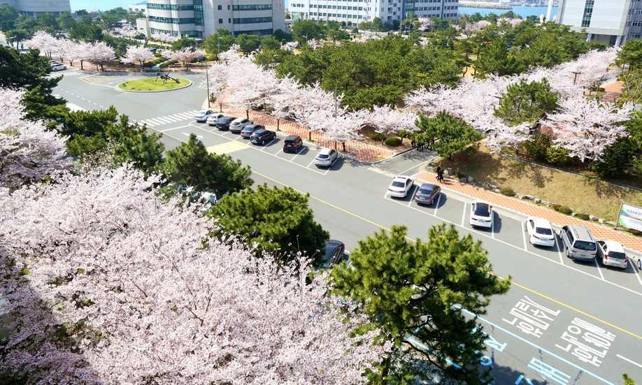 자율개선대학 탈락한 한국해양대, 정원 감축 등 자구안 발표