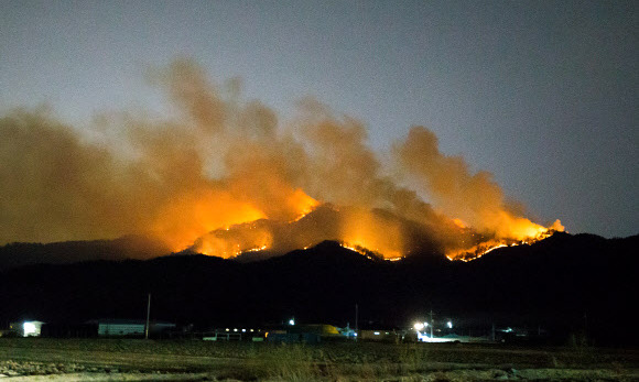 구미 왕산골 산불 14시간여 만에 진화…임야 15㏊ 태워