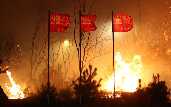 5일 새벽 강원도 고성 산불이 번진 속초시 미시령로에서 강풍에 불씨들이 날리고 있다. 연합뉴스