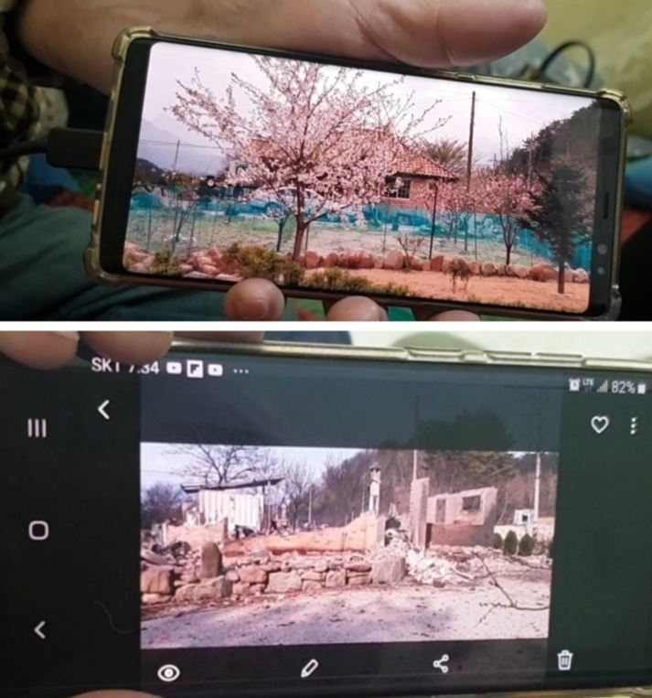 천진초 대피소 부스에 자리를 잡은 정경자(72)·이태선(74) 부부가 강원도 고성군 토성면 성천리에 있는 자신의 집 사진을 보여주고 있다. 사진 속 벽돌로 지어진 단독주택 집 앞에는 하얀 벚꽃이 흐드러지게 피어 있었다. (사진 위) 하지만 아래 사진 속 집은 불에 타 형체를 알아보기 힘들다.
