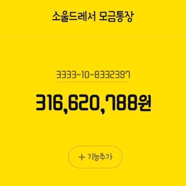 다음 카페 ‘소울드레서’ 갈무리