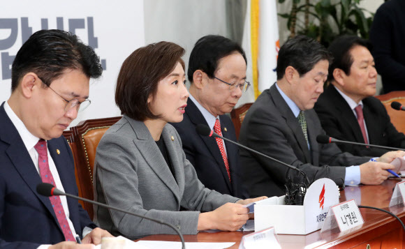 나경원 자유한국당 원내대표가 10일 국회에서 열린 원내대표-중진의원 연석회의에서 발언을 하고 있다. 연합뉴스