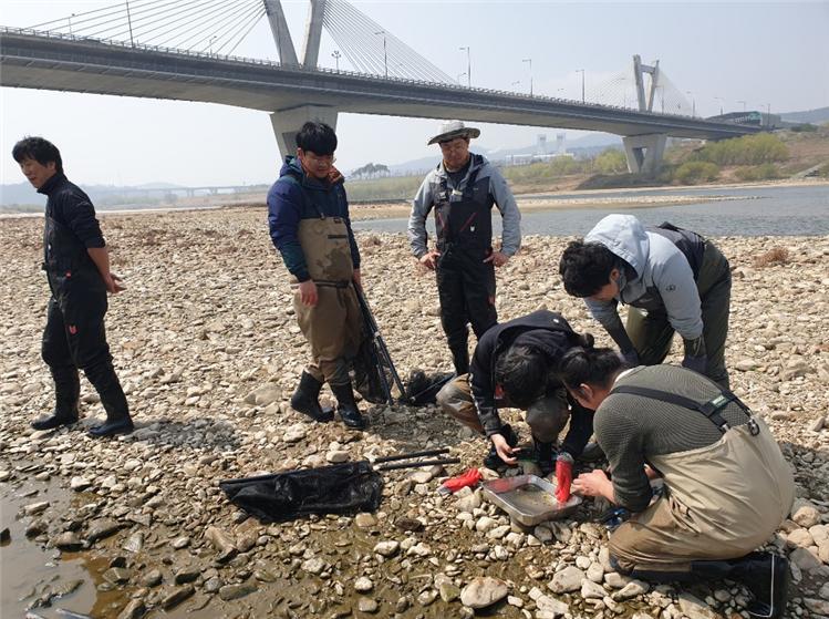 지난 4월5일 흰수마자 조사 장면. 환경부 제공