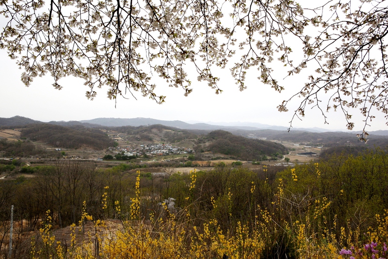 지난 19일 민통선 어느 언덕의 전망. 해마루촌(경기 파주 동파리) 너머 개성 송악산 줄기가 희미하게 보인다. 김선식 기자