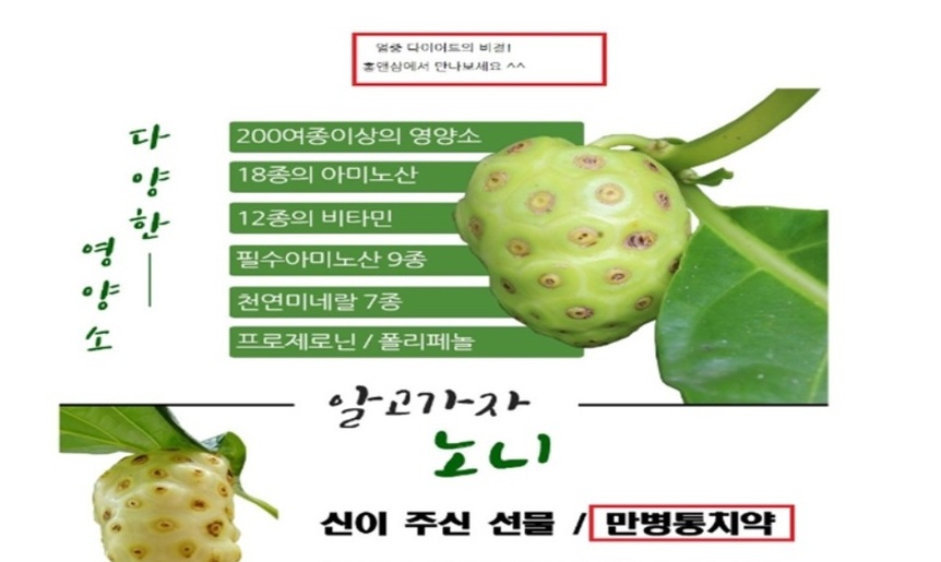 열대과일 ‘노니’ 가공  22개 제품서 쇳가루 검출