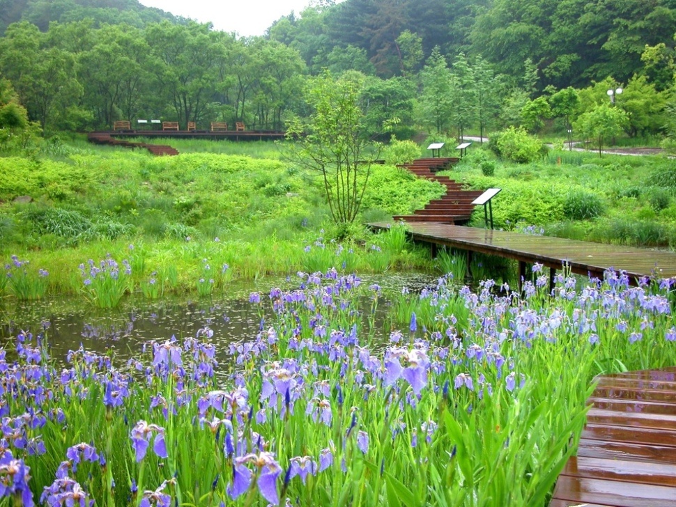 포천 평강식물원.