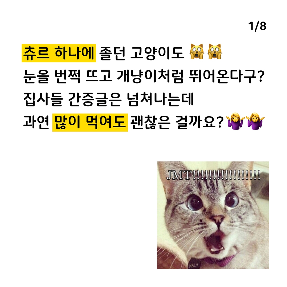 애니멀피플