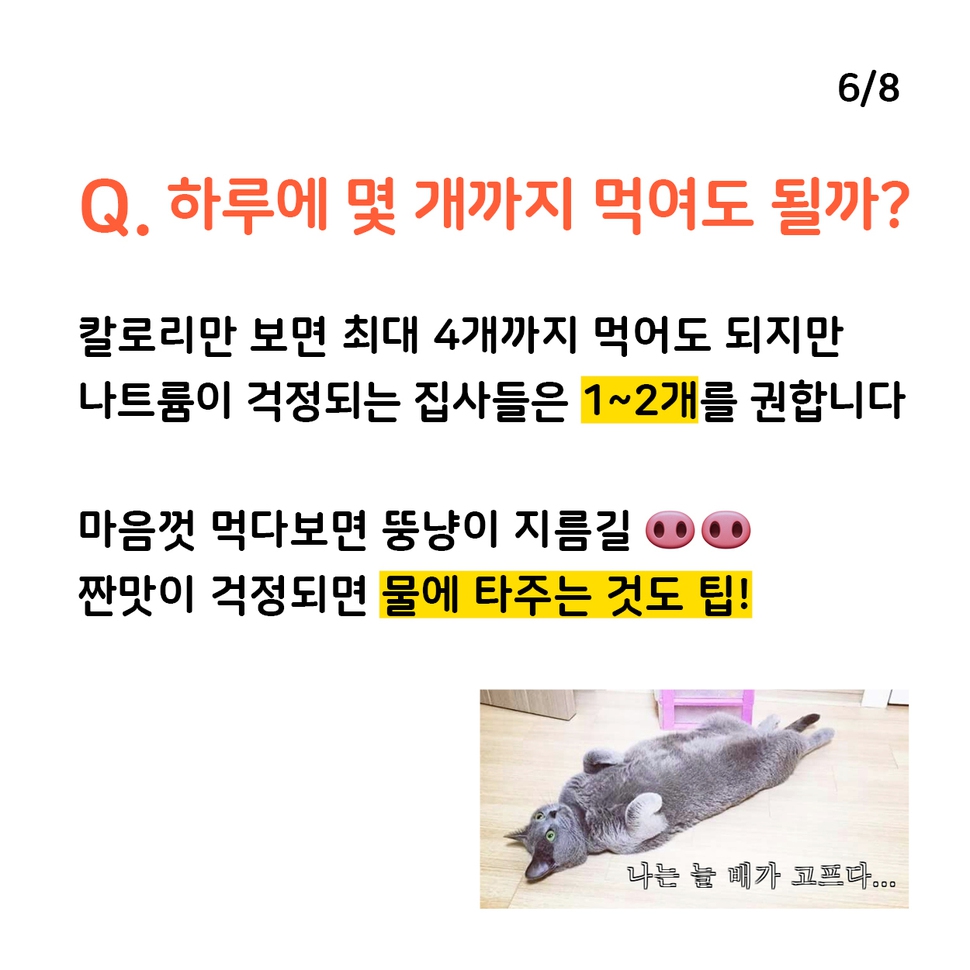 애니멀피플