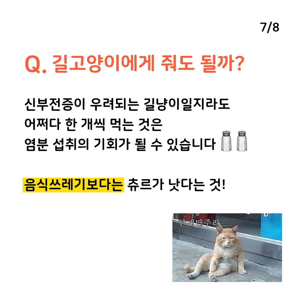 애니멀피플
