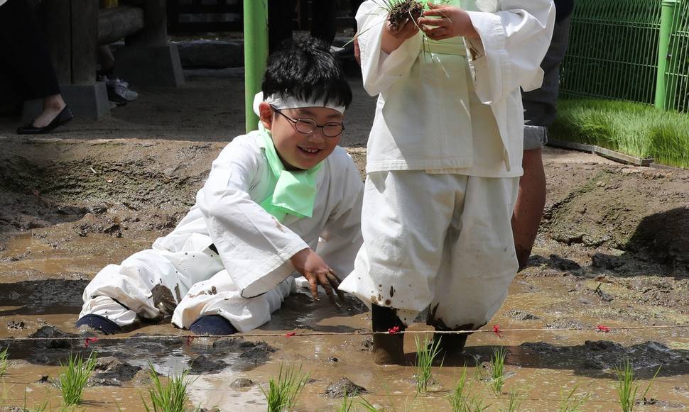 [포토] ‘엉덩방아 쿵~’ 꼬마농부 모내기 현장