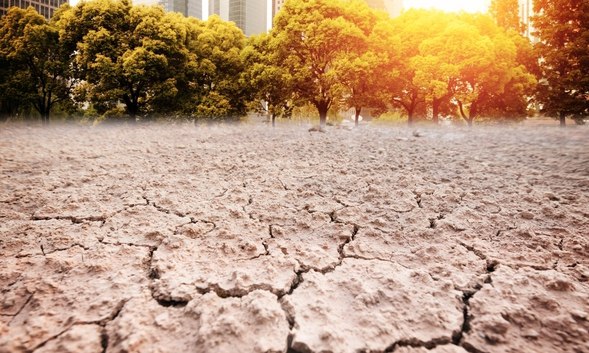 인간 유래 온실가스로 지구 가뭄 100년 전부터 시작