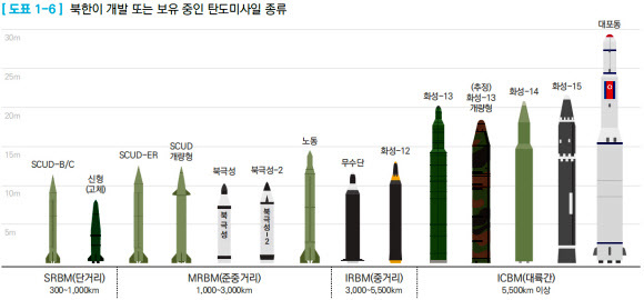 국방부가 펴낸 <2018 국방백서>에 도표로 제시된 ‘북한이 개발 또는 보유 중인탄도미사일 종류’. 단거리 탄도미사일로 분류한 신형 고체연료형 탄도미사일 그림(왼쪽 두번째)이 북한이 지난 4일과 9일 발사한 미사일과 많이 닯았다. 연합뉴스