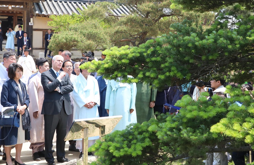 엘리자베스 2세 영국 여왕의 차남 앤드루 왕자가 14일 경북 안동 하회마을을 찾아 서애 류성룡의 종택 충효당 앞 구상나무를 살펴보고 있다. 이 나무는 엘리자베스 2세 영국 여왕이 1999년 4월 21일 안동 하회마을 방문을 기념해 심은 것이다. 안동/연합뉴스