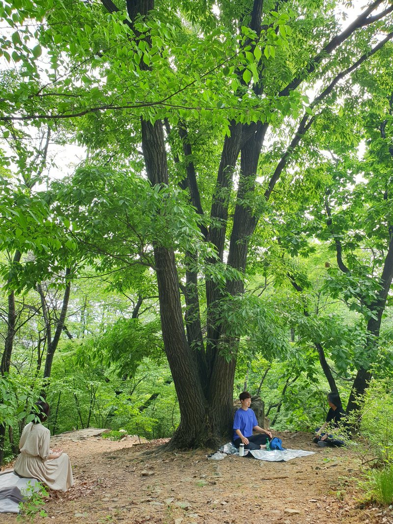 남산에서 ‘왈이의 마음단련장’과 온라인 커뮤니티 ‘스여일삶’(스타트업 여성의 일과 삶)이 함께 진행한 명상 피크닉. 이정연 기자