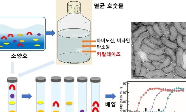 인하대, 미생물학자들의 오랜 숙제 풀었다