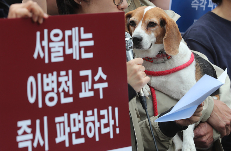 동물권행동 카라, 동물자유연대, 비글구조네트워크 회원들이 세계 실험동물의 날인 4월24일 서울 관악구 서울대학교 동물병원 앞에서 기자회견을 열어 비윤리적 복제 관련 연구와 사업을 원천 취소하고 서울대 이병천 교수를 즉시 파면할 것을 촉구하고 있다. 백소아 기자 thanks@hani.co.kr