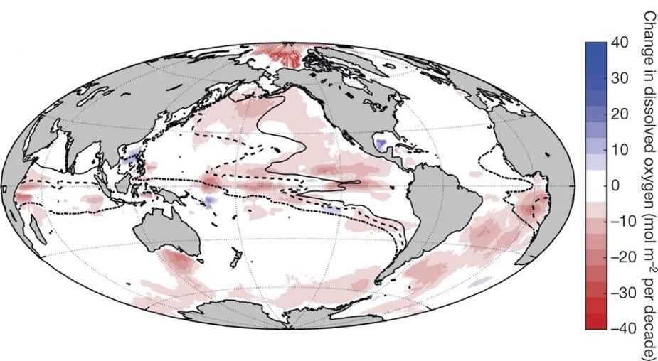 1960년 이후 대양 산소 농도의 변화. 붉은 곳일수록 감소가 심한 곳이고 푸른 곳은 증가한 곳이다. 순케 쉬미트코 외 (2017) 네이처 제공.