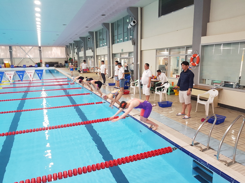 26일 서울 송파구 한국체대 수영장에서 열린 2019 광주세계수영대회 여자수구 국가대표 선발전 자유형에서 지원자들이 출발하고 있다.