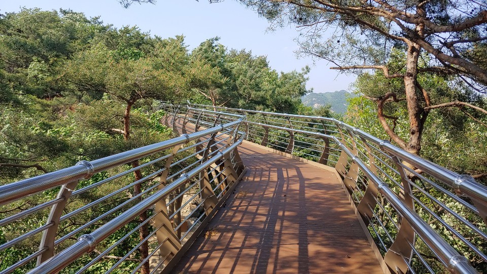 강원도 원주시는 ‘소금산 스카이워크 브릿지’를 6월1일 개통할 예정이다. 원주시청 제공