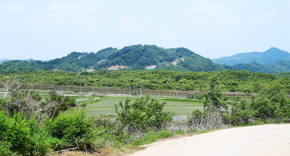 `평화의 길’ 철원 구간 비무장지대 밖에서 바라본 비무장지대 안쪽 풍경. 행정안전부 제공