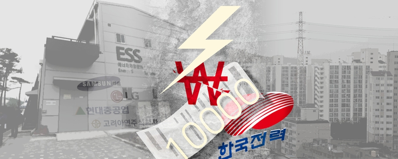 그래픽_김승미
