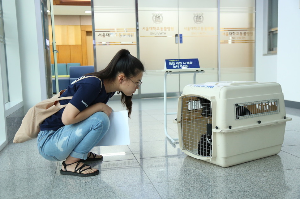 홍역 확진 후 서울대병원으로 이동한 뿌꾸와 새끼들. 사진 동물권행동 카라