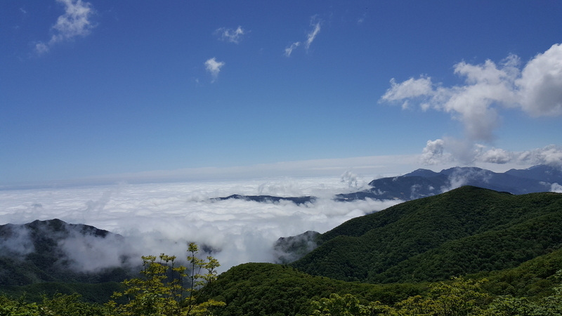 강원 고성 장신리 설악산 향로봉. 산림청 제공