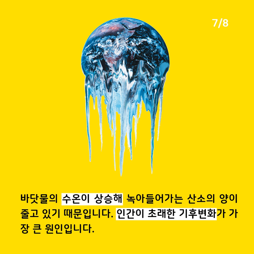 애니멀피플