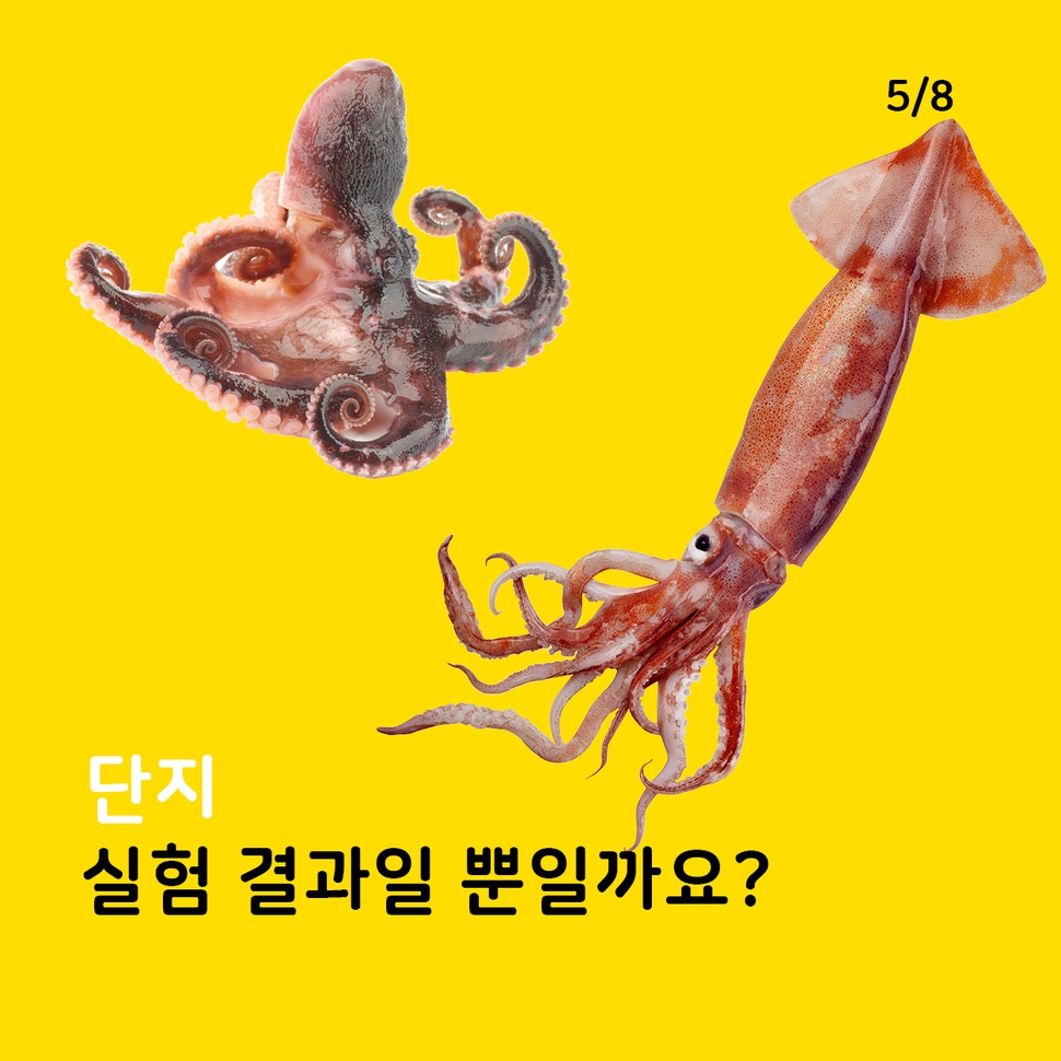 애니멀피플