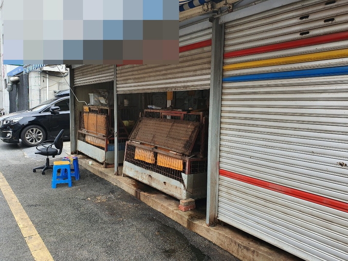 부산 북구 구포 개시장에 있는 식용 개 판매업소 모습.