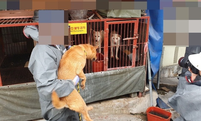 부산 구포 개시장, 완전 폐업