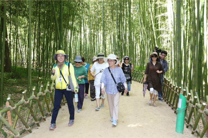 울산 태화강 십리대숲 산책로. 울산시가 내년까지 이 대숲을 태화강 전 구간으로 확대하는 백리대숲 조성사업을 추진하고 있다. 울산시 제공