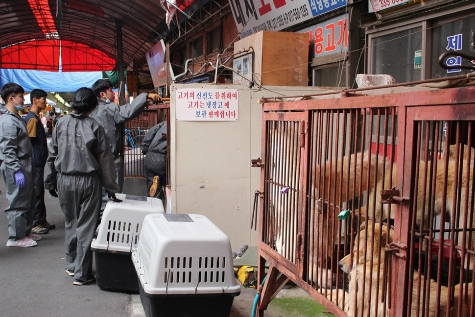 살아서 갇혀 있는 개 옆에 ‘고기’가 된 개를 냉장 보관한다는 안내문이 붙어 있다.