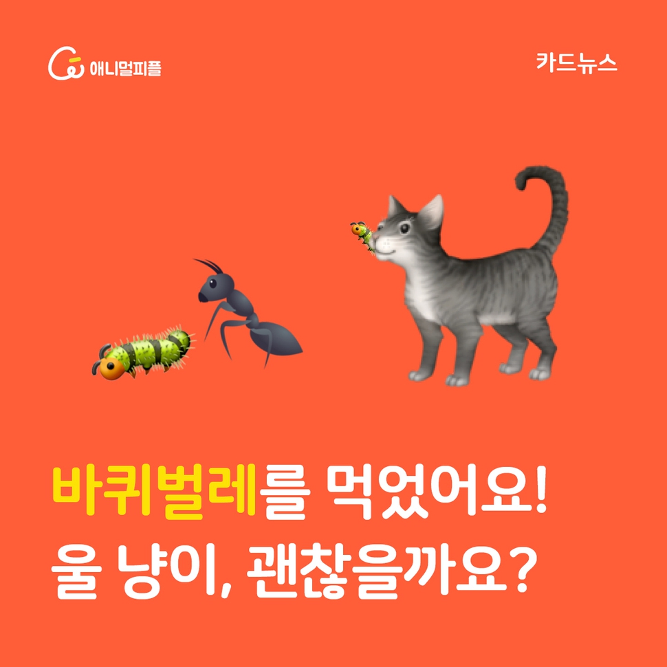 애니멀피플